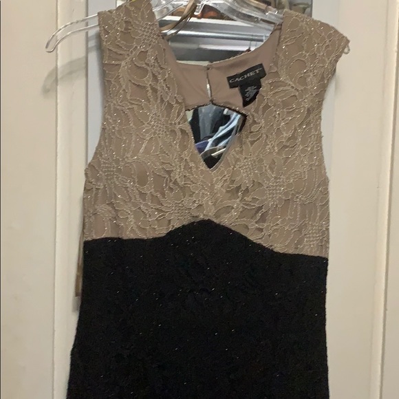 Cachet Dresses & Skirts - Formal prom special occasion dress